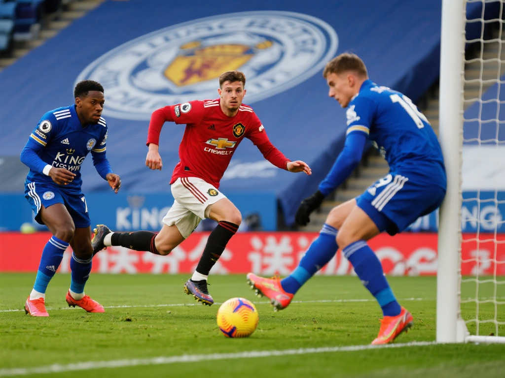 球队引进了 球队引进了